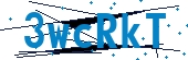 recaptcha