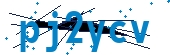 recaptcha